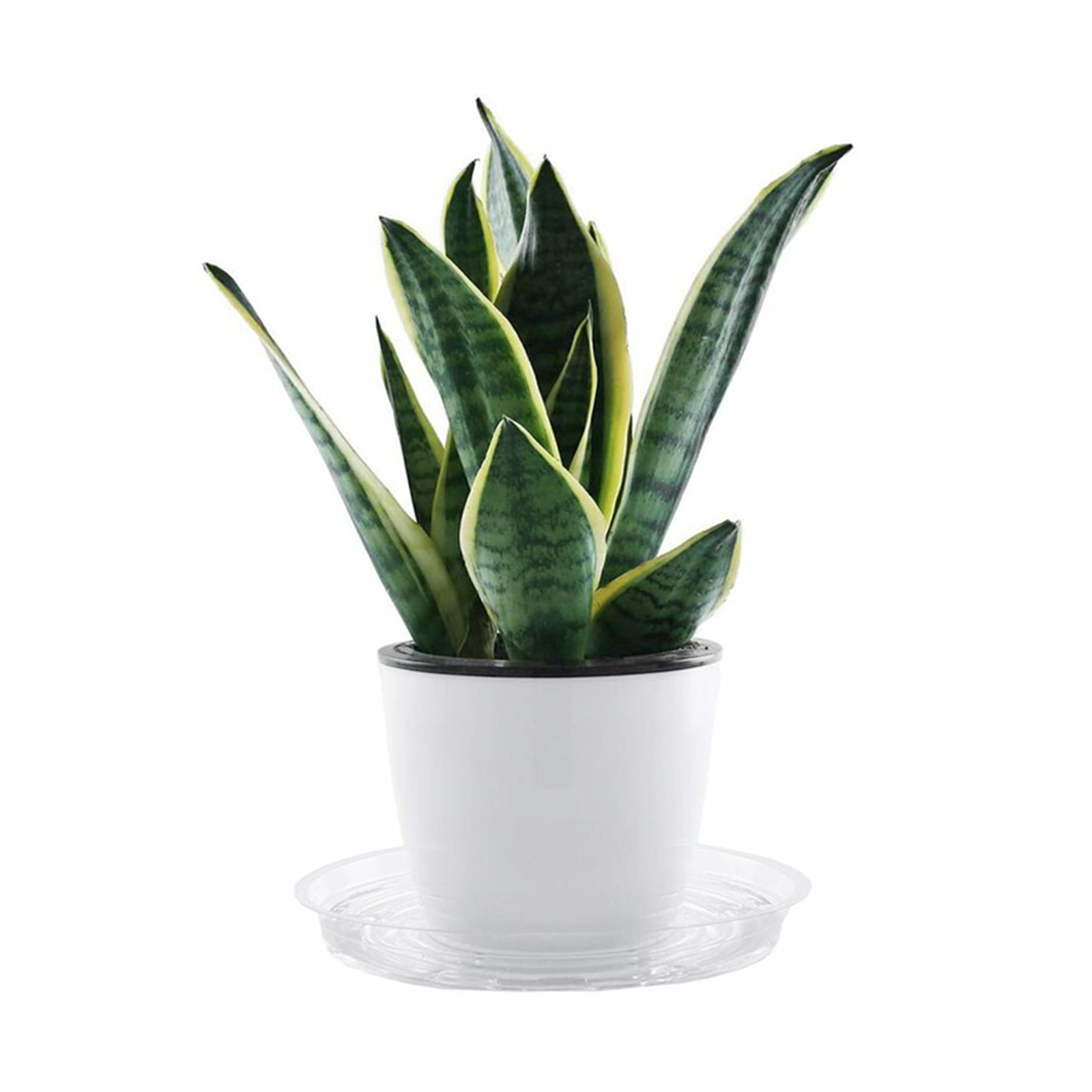 10pc jardim planta pires bande - Drip Tray Saucer avaliação e preço