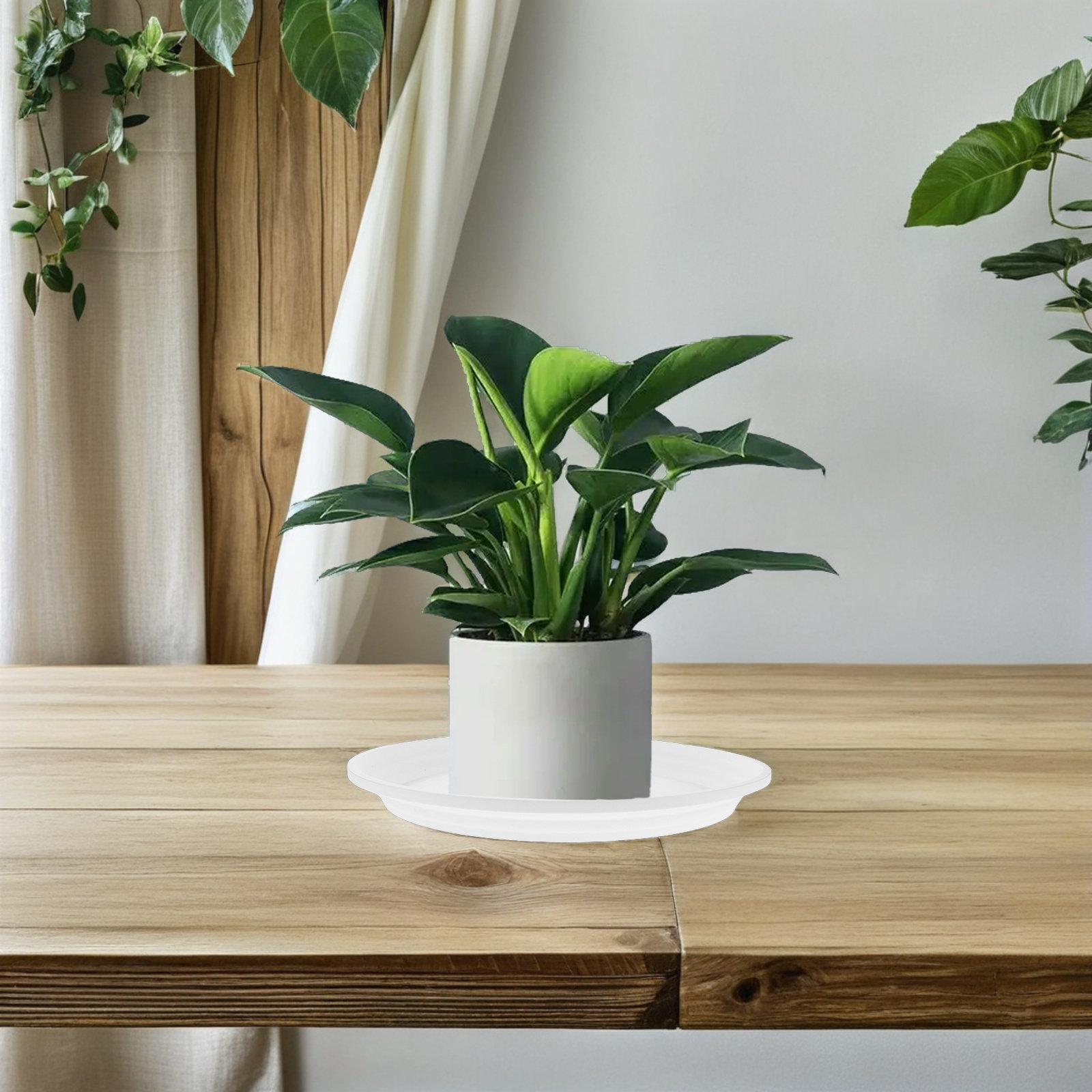 6 Peças de Pratos Redondos de  - Drip Tray Saucer avaliação e preço